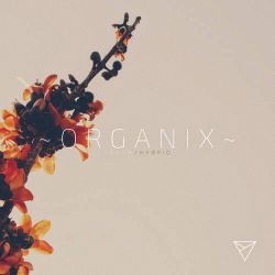 湛江Dj光仔-中英文House精选小G越南弹鼓风格包房实用串烧